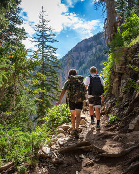 Two hikers walking along a forest trail with pine trees and mountains in the background.