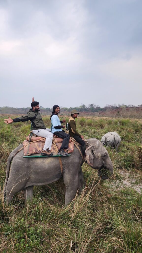Wildlife tour on elephants Sagamiles package trip